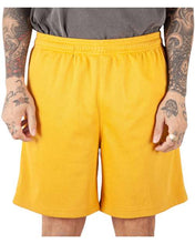 Load image into Gallery viewer, Unisex Mesh PE Shorts
