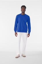 Load image into Gallery viewer, BELLA+CANVAS  ®  Unisex Sponge Fleece Raglan Sweatshirt. BC3901
